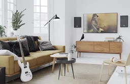 DALI Bezprzewodowe systemy stereo
