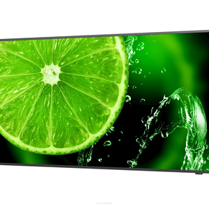 NEC MultiSync E658  LCD 65