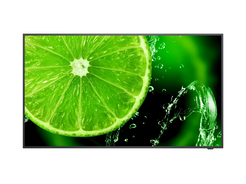 NEC MultiSync E658  LCD 65"