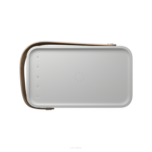 BANG & OLUFSEN BeoLit 20 Grey Mist - 4