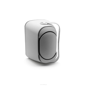 DSP5040W głośnik ścienny dwudrożny 6,5c1c 40W 100V biały IP66 - 2