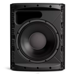 BOSE DesignMax DM12SE – 12