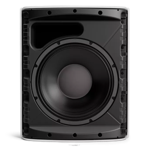 BOSE DesignMax DM12SE – 12