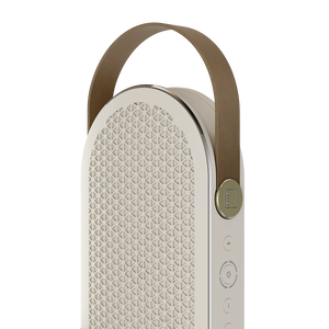 Dali KATCH G2 głośnik Bluetooth z wbudowanym akumulatorem o znacznie wydłużonej żywotności – nawet do 30 godzin ciągłego odtwarzania - 6