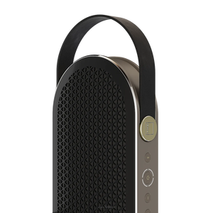 Dali KATCH G2 głośnik Bluetooth z wbudowanym akumulatorem o znacznie wydłużonej żywotności – nawet do 30 godzin ciągłego odtwarzania - 3