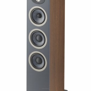FOCAL THEVA N°2  DARK WOOD - 2