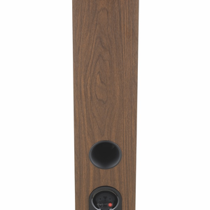 FOCAL THEVA N°2  DARK WOOD - 4