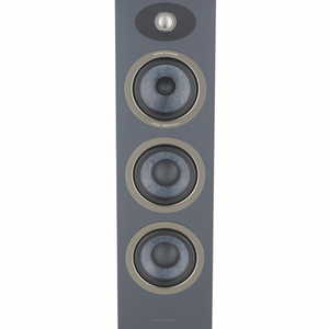 FOCAL THEVA N°2  DARK WOOD - 3