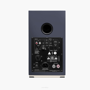Triangle AIO TWINn Striming Tidal, Spotify Kolumny aktywne z Bluetooth i Wi-Fi - 2 szt - 9