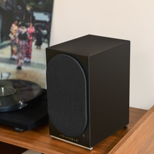 Triangle AIO TWINn Striming Tidal, Spotify Kolumny aktywne z Bluetooth i Wi-Fi - 2 szt - 17