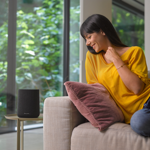 Harman Kardon  Citation One MKIII szary - 5
