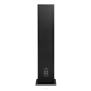 TRIANGLE BOREA BR10 BLACK  Kolumny podłogowe 3-drożne o mocy 200W - 2szt - 3