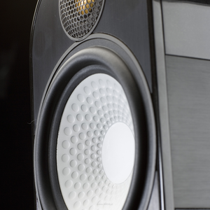 Monitor Audio Apex A10 - 15