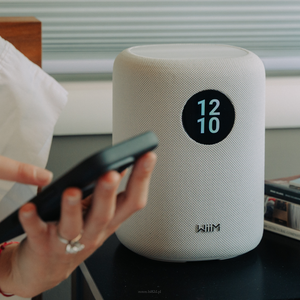 WiiM Sound White Inteligentny głośnik  •  24-bit/192 kHz  100 W szczytowo Streamuj z ponad 20 serwisów bezpośrednio w aplikacji WiiM Home - 3