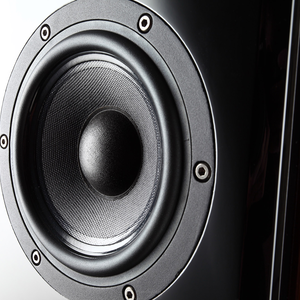 Usher SD-502 ( Para)  Podłogowe zestawy głośnikowe - 6