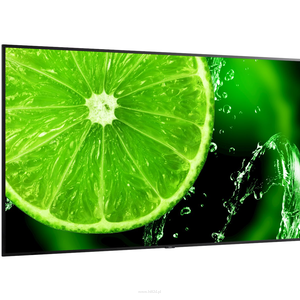 NEC MultiSync E988  LCD 98