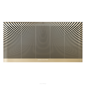 Bang & Olufsen PALATIAL – designerskie maskownice ścienne premium | nowy wymiar aranżacji - 3