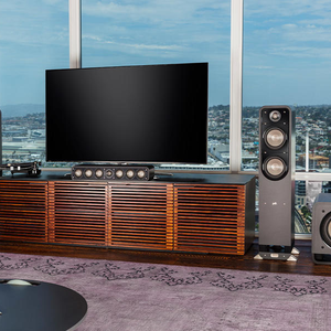 POLK AUDIO HTS SUB 10 Subwoofer - 6