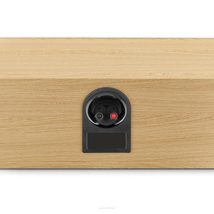 FOCAL THEVA CENTER LIGHT WOOD - 2