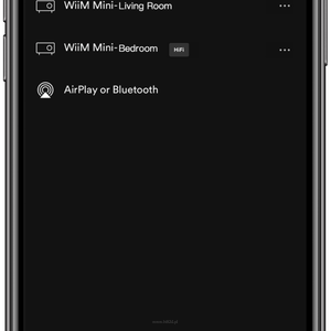 WiiM MINI wysokiej jakości streamer audio z dźwiękiem Hi-Res i bezprzewodowym strumieniowaniem dźwięku multiroom/multichannel - 2