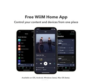 WiiM AMP PRO DARK GRAY Audiofilski odtwarzacz muzyczny ze wzmacniaczem. - 4