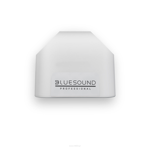Bluesound BSP 200 czarny/biały Kompaktowy sieciowy głośnik streamer - 2
