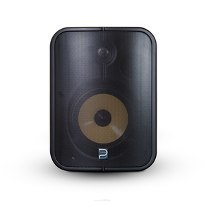 Bluesound BSP500 czarny/biały - 4