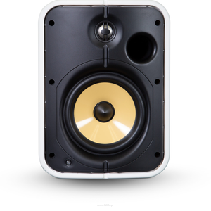 Bluesound BSP500 czarny/biały - 2