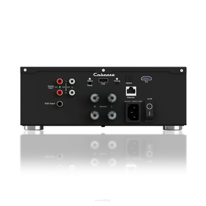 Cabasse ABYSS stereofoniczny wzmacniacz Hi-Fi dla całkowitego zanurzenia się w dźwięku o wysokiej rozdzielczości! - 2