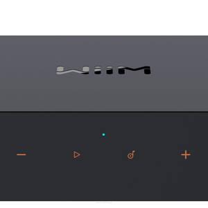 WiiM Pro Plus audiofilski streamer muzyczny z AirPlay 2, Chromecast, DLNA, Spotify Connect, TIDAL Connect - 3
