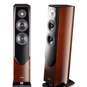 Usher SD-501 ( Para)  Podłogowe zestawy głośnikowe - 3