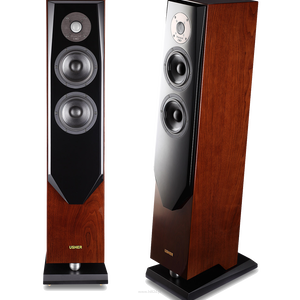 Usher SD-501 ( Para)  Podłogowe zestawy głośnikowe - 4