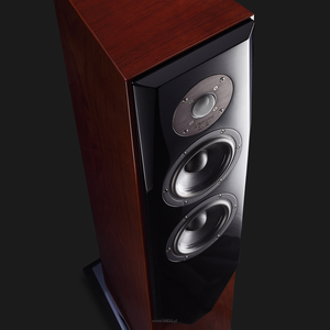 Usher SD-501 ( Para)  Podłogowe zestawy głośnikowe - 5