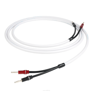 CHORD  C-screen X - 2