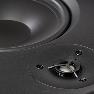 MartinLogan IW6 Głośnik ścienna - 4