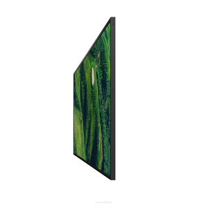 SONY FW-85BZ35P  Monitor profesjonalny 4K HDR Wyraźny obraz bez refleksów – 500 nitów, z technologią Deep Black Non-Glare Standard i odpornością na pył klasy IP5X - 3