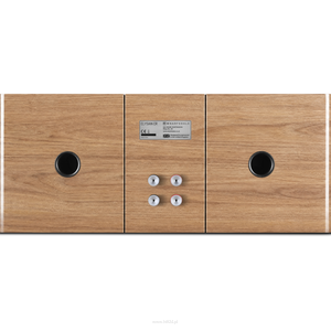 Wharfedale Elysian CR high-endowa kolumna centralna - 19