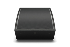 Bose AMM108 Głośnik wielofunkcyjny