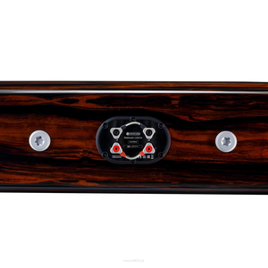 Monitor Audio Platinum C250 3G - 2