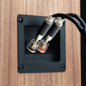 Pro-Ject Speaker Box 5 S2 Para Kolumna podstawkowa - 10