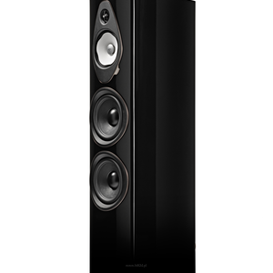 Sonus Faber Sonetto G2 VIII - 5