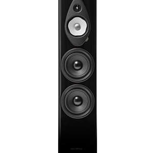 Sonus Faber Sonetto G2 VIII - 6