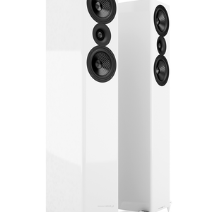 Acoustic Energy AE509 - 5