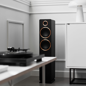 ARGON AUDIO Fenris A55 Para  ARC dla dźwięku z TV, Bluetooth 5.0, wejście phono dla gramofonów, wyjście dla subwoofera i jeszcze z wejście analogowe i cyfrowe w zapasie - 9