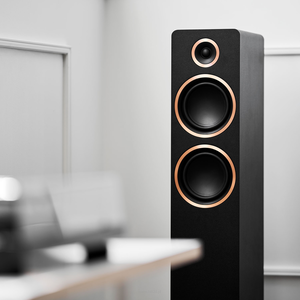 ARGON AUDIO Fenris A55 Para  ARC dla dźwięku z TV, Bluetooth 5.0, wejście phono dla gramofonów, wyjście dla subwoofera i jeszcze z wejście analogowe i cyfrowe w zapasie - 8