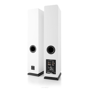 ARGON AUDIO Fenris A55 Para  ARC dla dźwięku z TV, Bluetooth 5.0, wejście phono dla gramofonów, wyjście dla subwoofera i jeszcze z wejście analogowe i cyfrowe w zapasie - 3