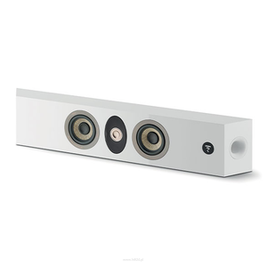 FOCAL ON WALL 301 - 4
