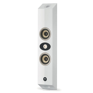 FOCAL ON WALL 301 - 2