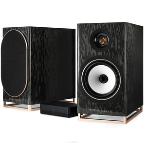 TRIANGLE CAPELLA KOLUMNY PODSTAWKOWE AKTYWNE AUDIOFILSKIE BLACK STAR, WISA, CHROMECAST, ROON READY, SPOTIFY CONNECT, AIRPLAY, PARA - 6