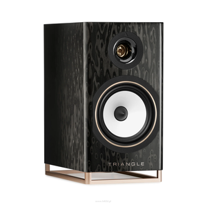 TRIANGLE CAPELLA KOLUMNY PODSTAWKOWE AKTYWNE AUDIOFILSKIE BLACK STAR, WISA, CHROMECAST, ROON READY, SPOTIFY CONNECT, AIRPLAY, PARA - 2